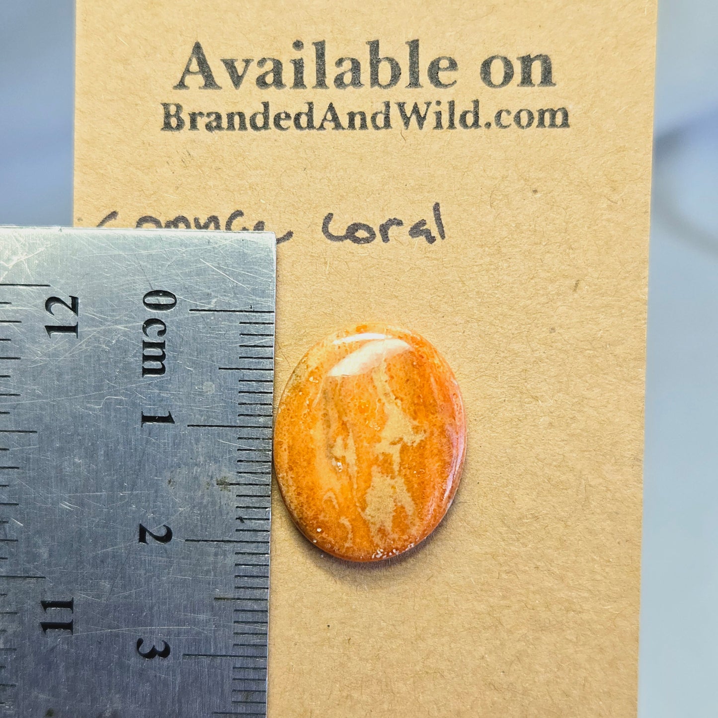 Sponge Coral Cabochon - SC-08