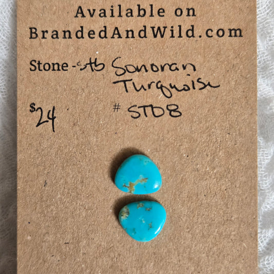 Sonoran Turquoise Cabochon - ST08