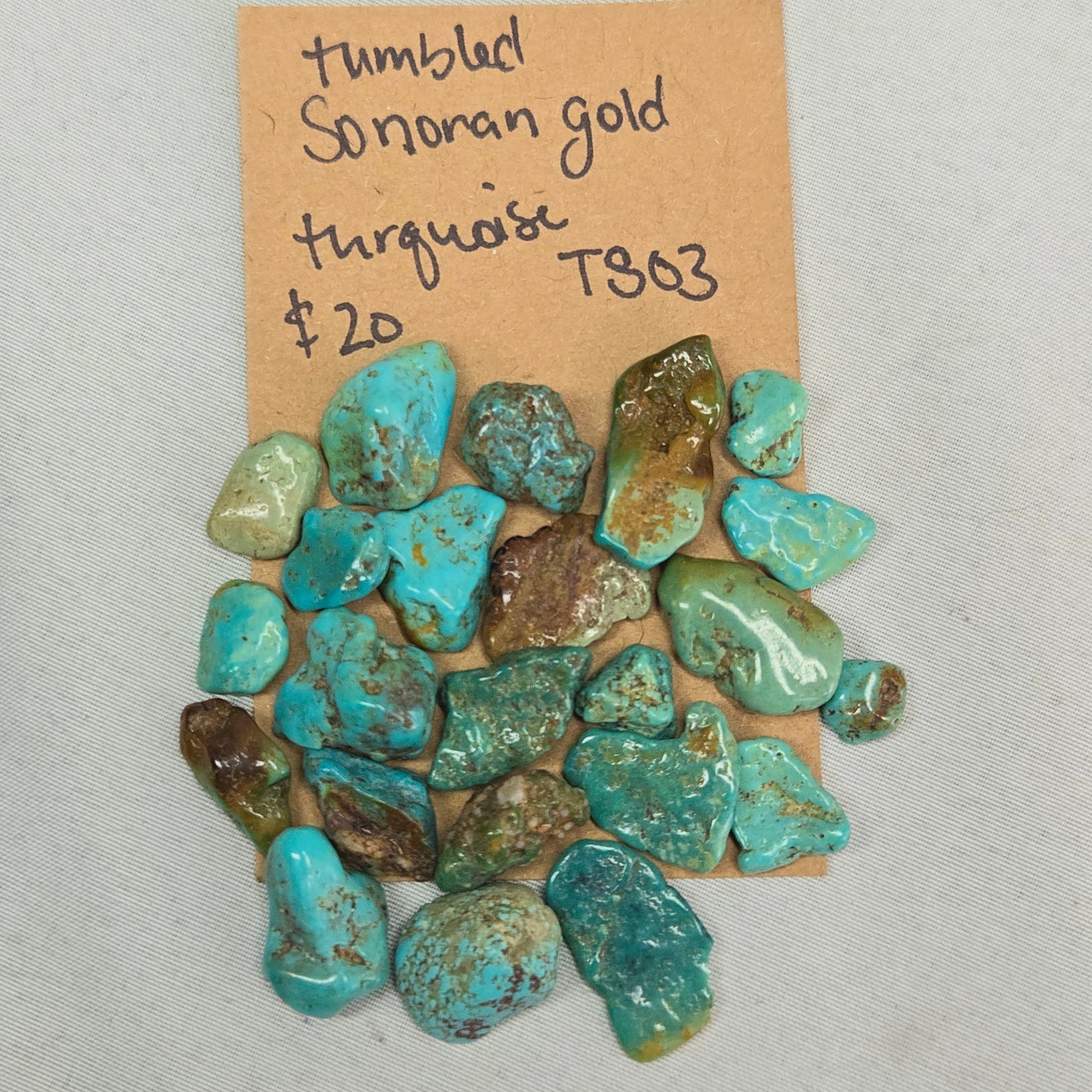 Rough Tumbled Sonoran Gold Turquoise - #TS03