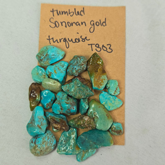 Rough Tumbled Sonoran Gold Turquoise - #TS03