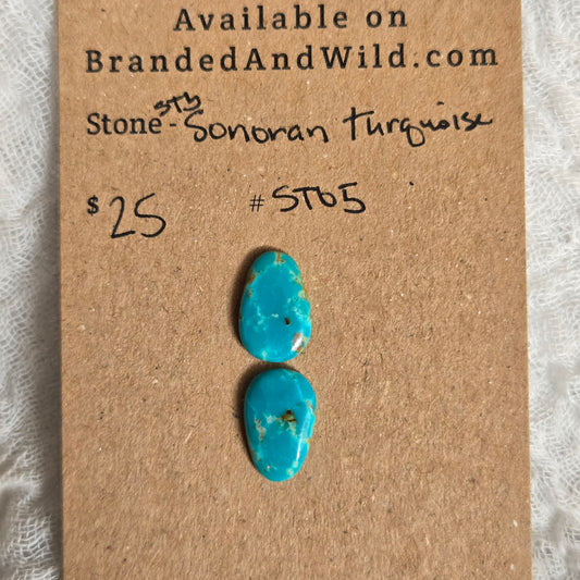 Sonoran Turquoise Cabochon -ST05