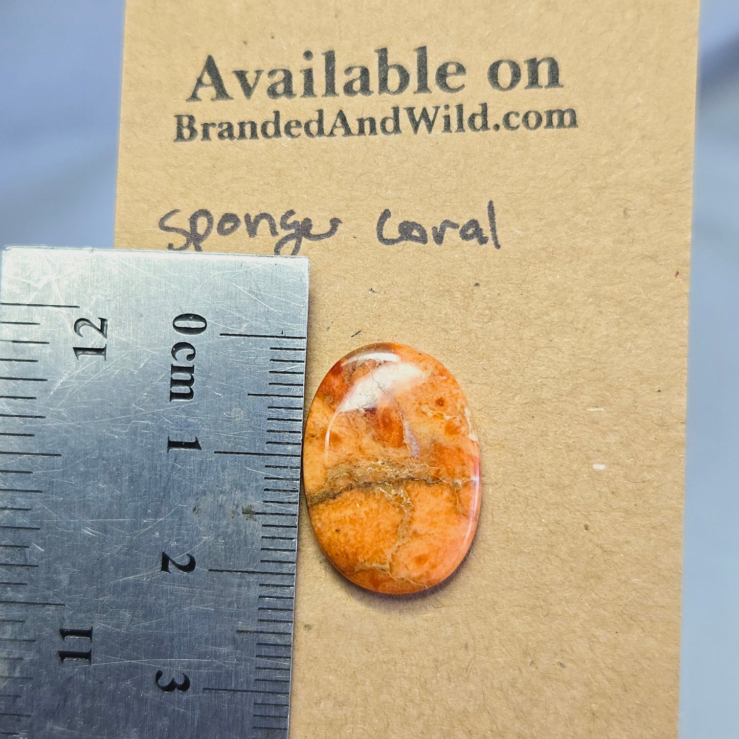 Sponge Coral Cabochon - SC-06