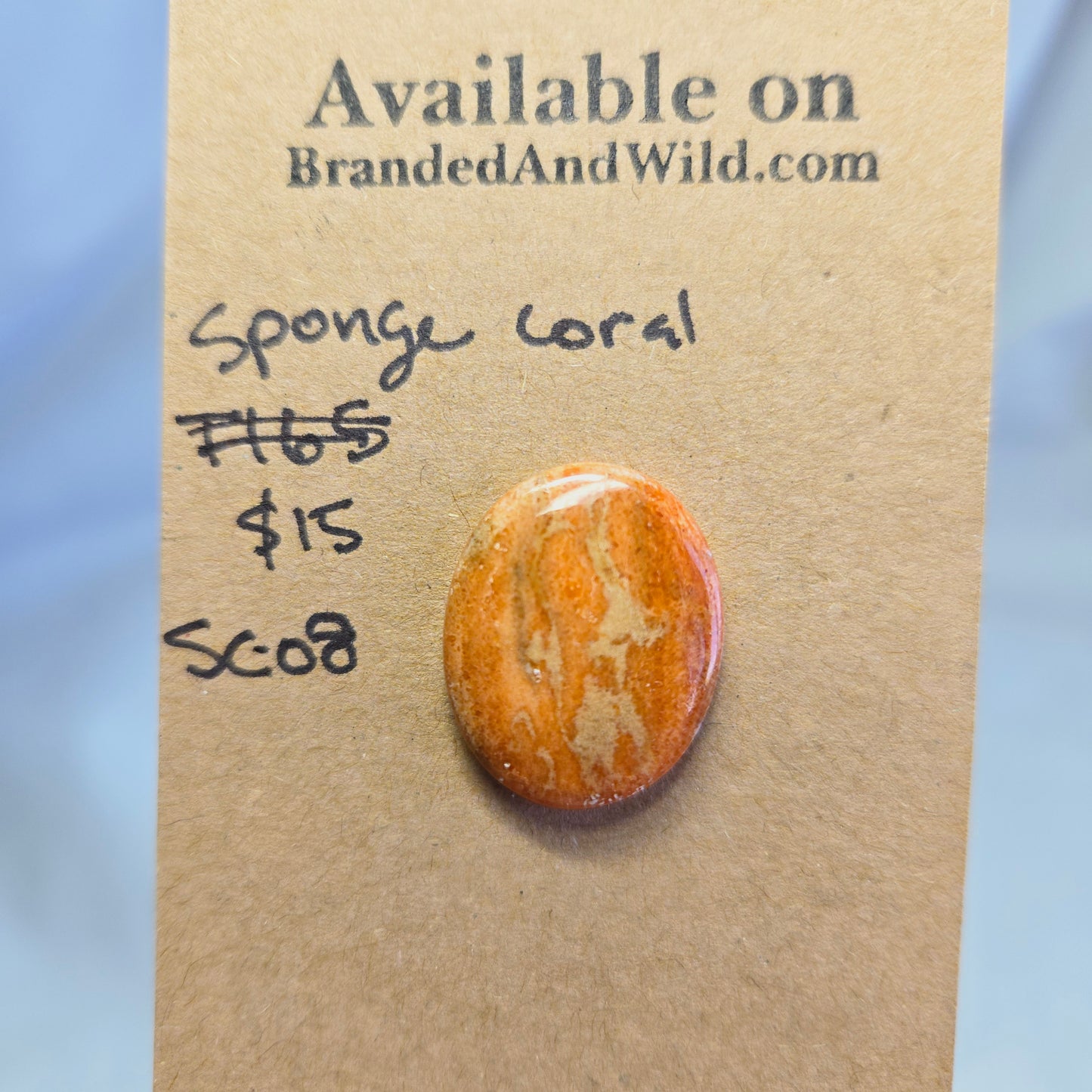 Sponge Coral Cabochon - SC-08