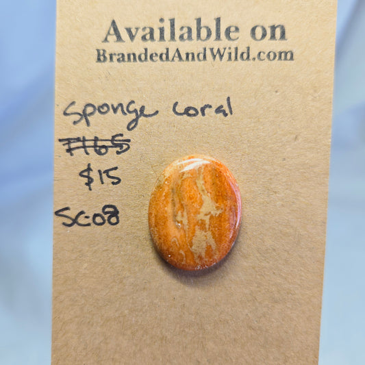 Sponge Coral Cabochon - SC-08