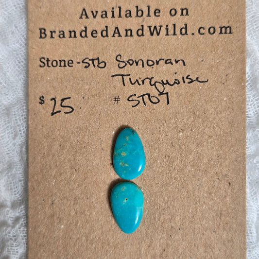 Sonoran Turquoise Cabochon -ST07