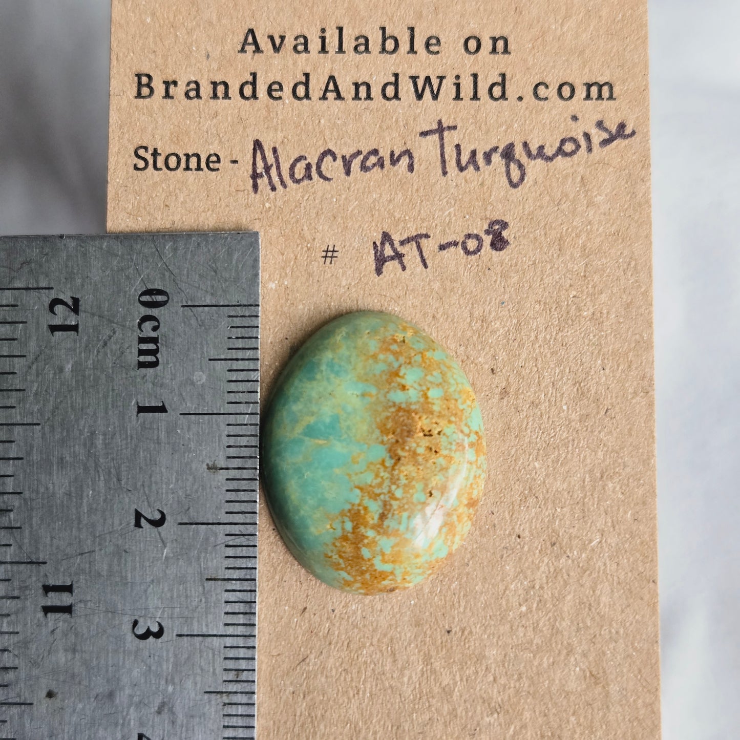 Alacran Turquoise Cabochon - AT-08