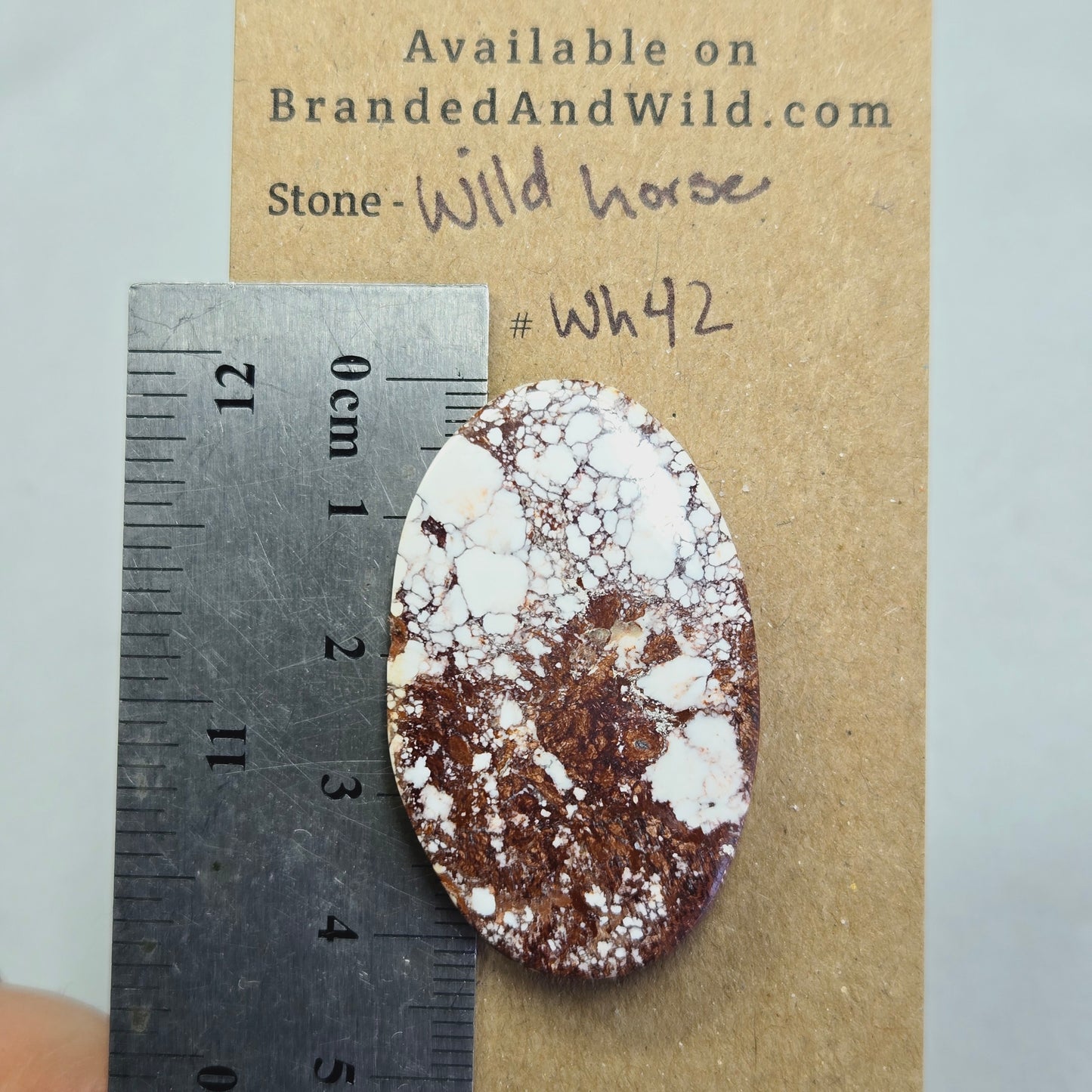 Wild Horse Turquoise Cabochon - WH42