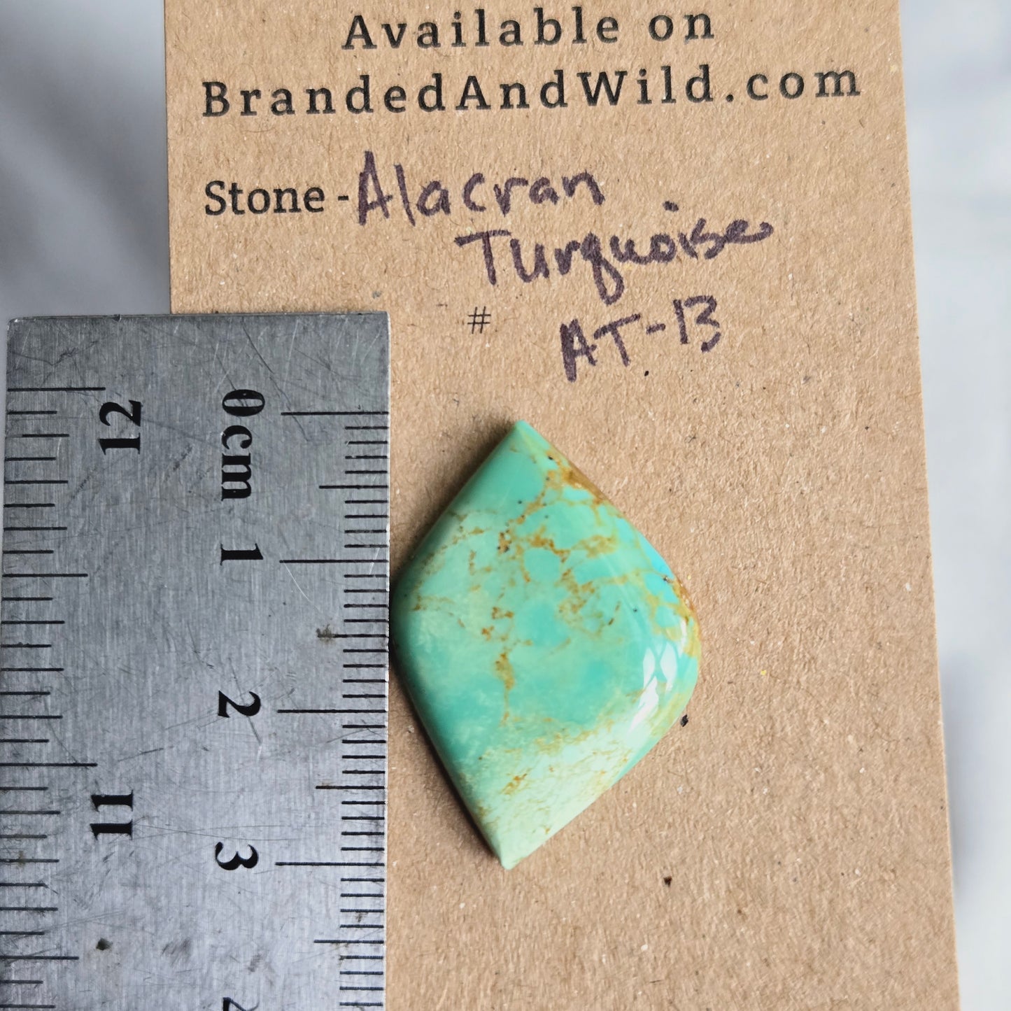 Alacran Turquoise Cabochon - AT-13