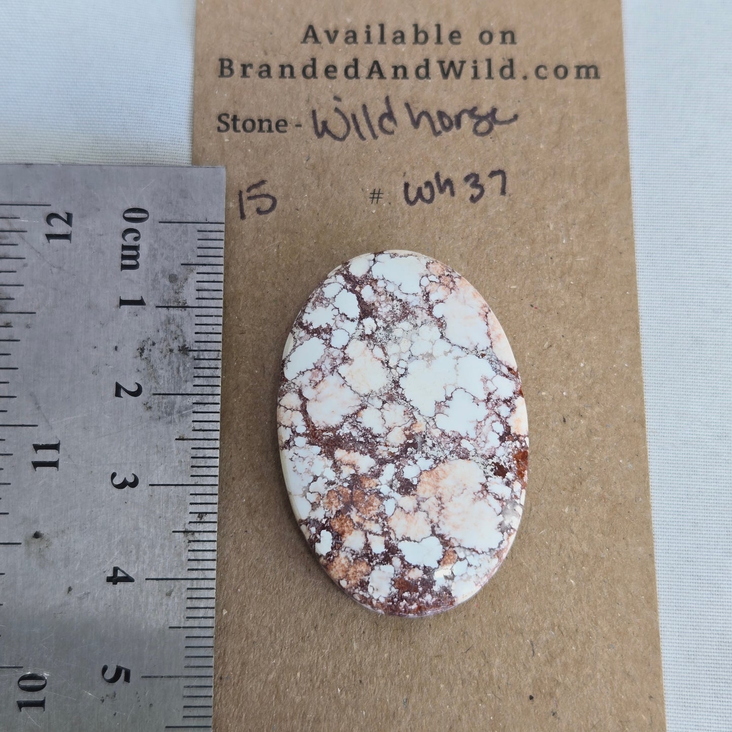 Wild Horse Turquoise Cabochon - WH37