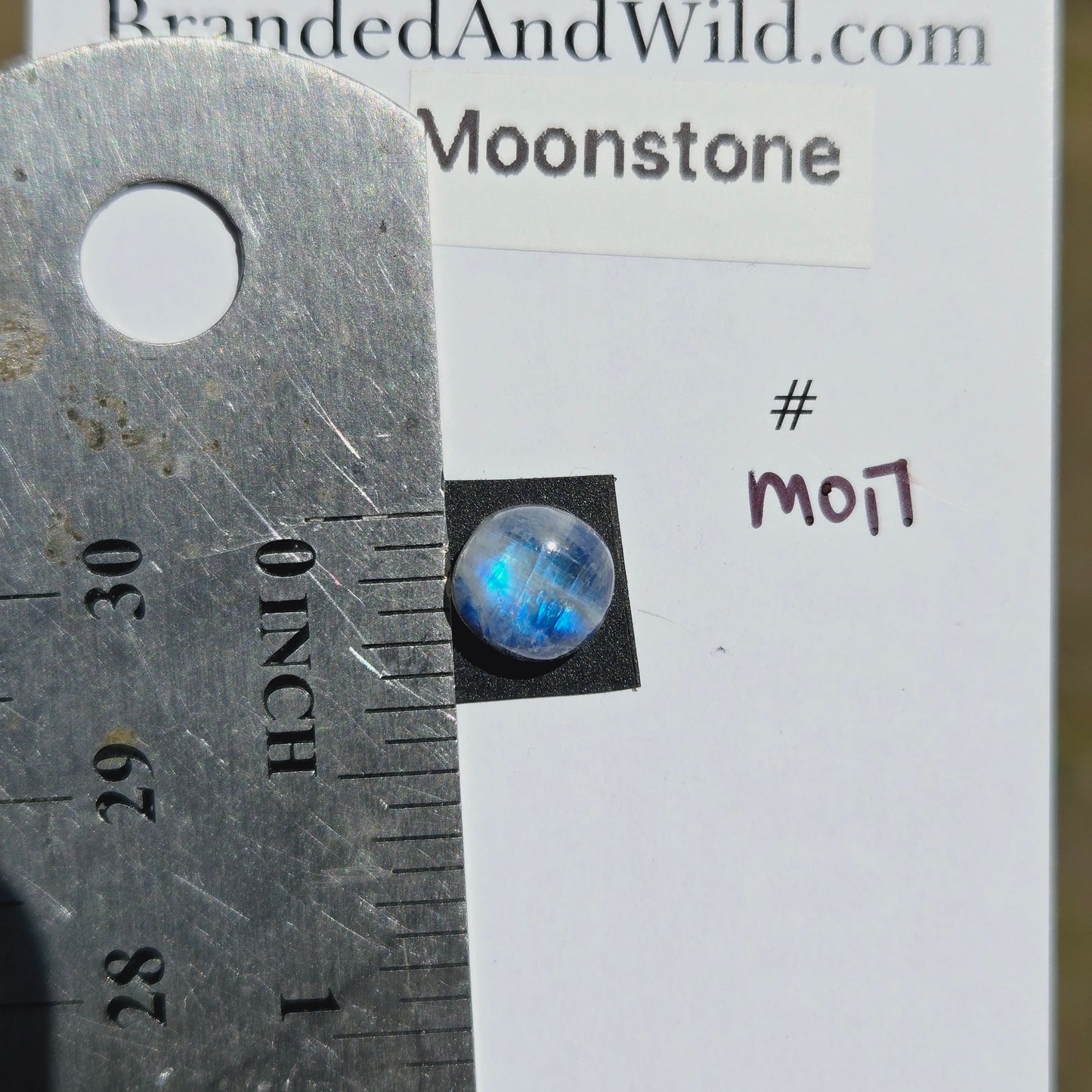 Moonstone Cabochon - M017