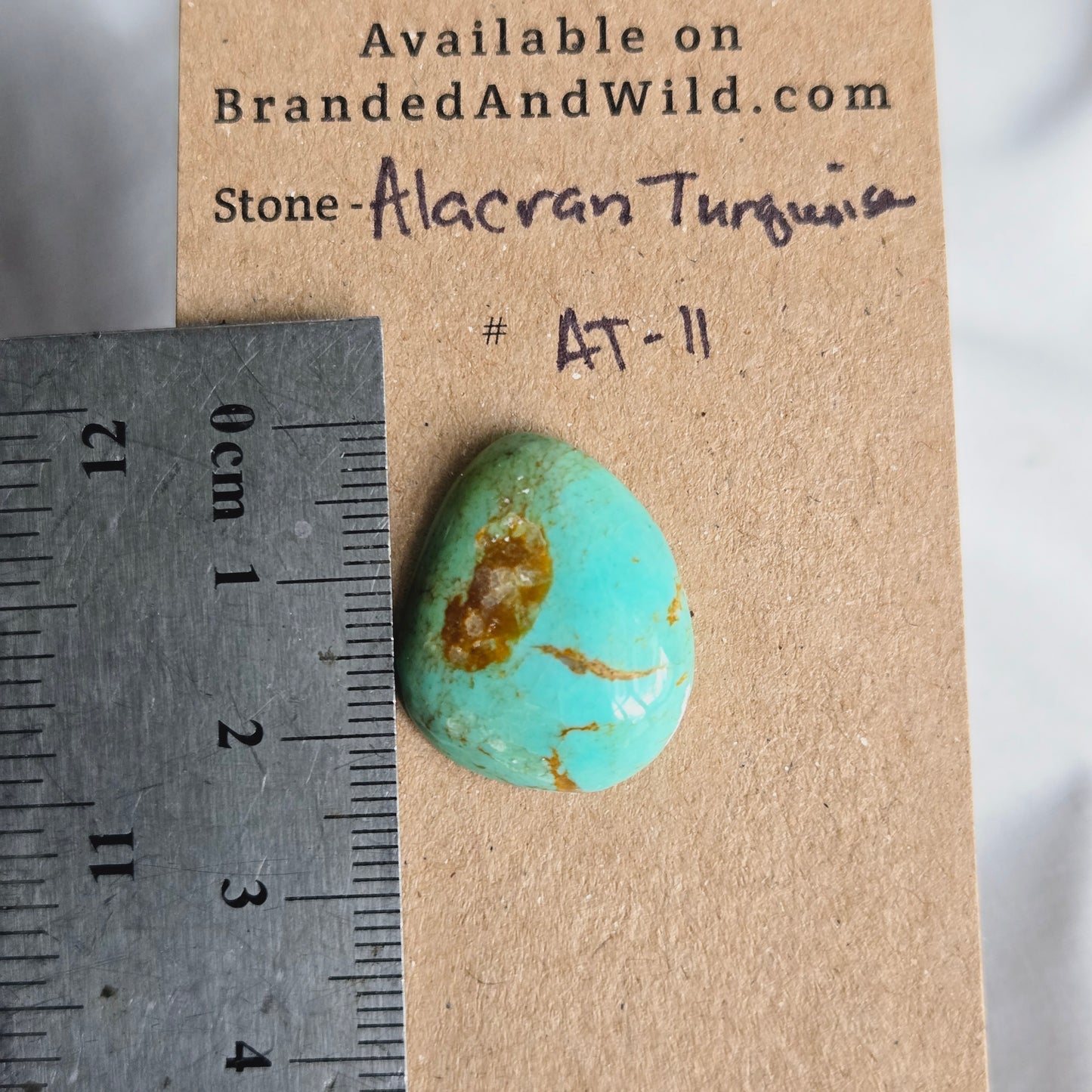 Alacran Turquoise Cabochon - AT-11