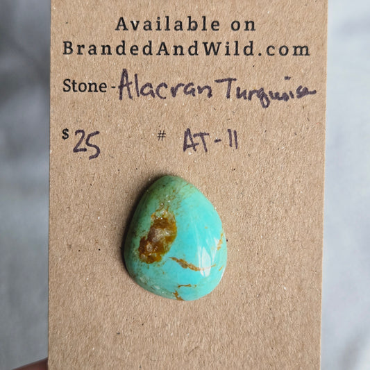 Alacran Turquoise Cabochon - AT-11