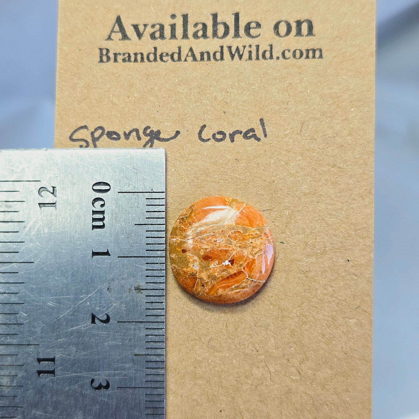 Sponge Coral Cabochon - SC-04